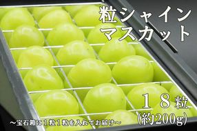 【令和８年度先行予約】《厳選・宝石箱》シャインマスカットひと口BOX(18粒入り・約200g)　シャイン マスカット ぶどう 葡萄 ブドウ 房なし 粒シャイン 粒のみ 粒だけ くだもの 果物 フルーツ 山梨 やまなし 富士川町