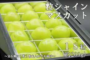 【令和８年度先行予約】《厳選・宝石箱》シャインマスカットひと口BOX(18粒入り・約200g)　シャイン マスカット ぶどう 葡萄 ブドウ 房なし 粒シャイン 粒のみ 粒だけ くだもの 果物 フルーツ 山梨 やまなし 富士川町