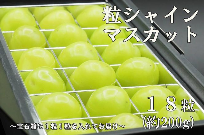 【令和８年度先行予約】《厳選・宝石箱》シャインマスカットひと口BOX(18粒入り・約200g)　シャイン マスカット ぶどう 葡萄 ブドウ 房なし 粒シャイン 粒のみ 粒だけ くだもの 果物 フルーツ 山梨 やまなし 富士川町