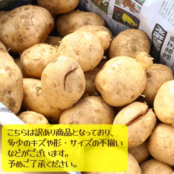 【訳あり】じゃがいも10kg（デジマ）
