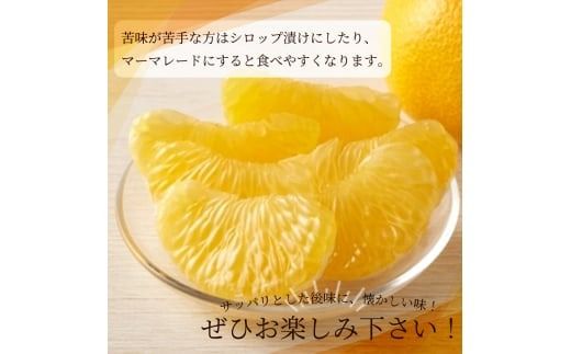 紀州和歌山産 八朔（はっさく） 約10kg ※2027年1月下旬頃〜2027年2月上旬頃に順次発送 ※日付指定不可 八朔 はっさく 柑橘 果物 くだもの フルーツ【uot785】