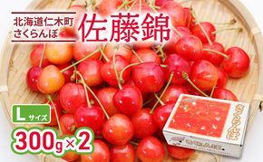 先行受付 北海道 仁木町産 さくらんぼ 佐藤錦 300g×2P Lサイズ   サクランボ チェリー フルーツ 果物 果物類 仁木町 仁木 [林果樹園]