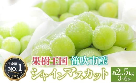 ＜25年発送先行予約＞人気 シャインマスカット 約2.5kg 3～6房　※沖縄県及び離島への配送はできませんので予めご了承ください。　※常温配送　126-007