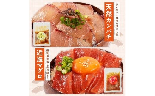 海鮮漬け丼 5種　お試しセット N019-YA192