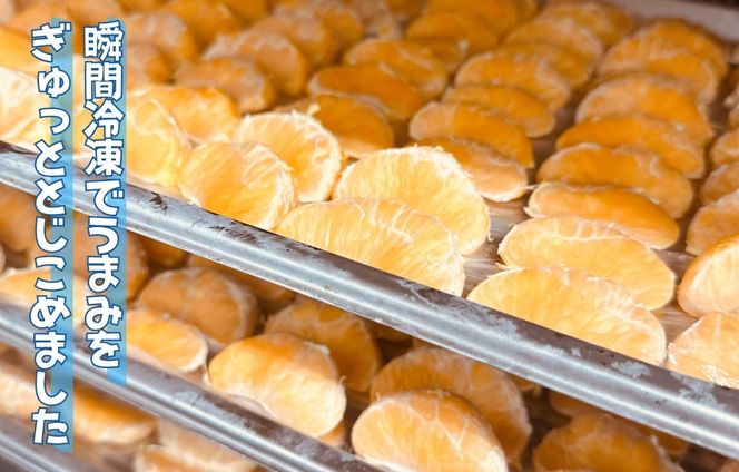 冷凍 不知火 （しらぬい） 70g × 5袋 ひとくちデザート カチウマ スイーツ 果物 旬の味わい 和歌山県産不知火100% AX427