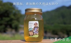 合計600g 天然蜂蜜 国産蜂蜜 非加熱 生はちみつ 岐阜県 美濃市産 初夏 (蜂蜜600g入りガラス瓶1本)B5 深田養蜂のハチミツ