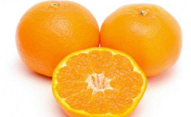 【先行予約】【厳選・濃厚】和歌山紀州有田産 はるみ 約4kg（サイズおまかせ）柑橘