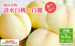 桃 2026年 先行予約 定期便 岡山名物 白桃 食べ比べ ！ 清水白桃 と 白麗 各約3.0kg 10～12玉 あかいわファーマーズガーデン 果物
