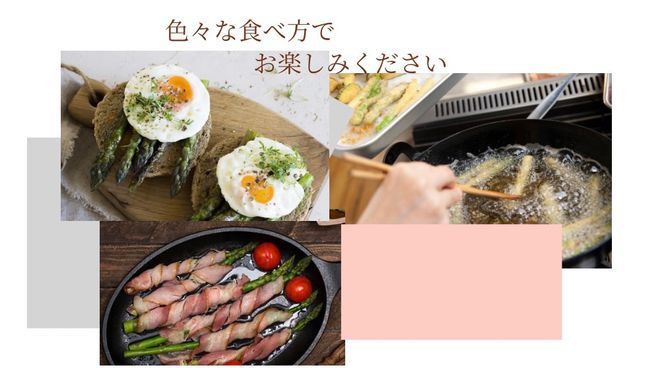 ［武田農園とれたて直送］2027年春発送 グリーンアスパラ 2L 2kg やわらかくて抜群にあまい！北海道 富良野産 (アスパラガス アスパラ 野菜 新鮮 産地直送 先行予約 限定)
