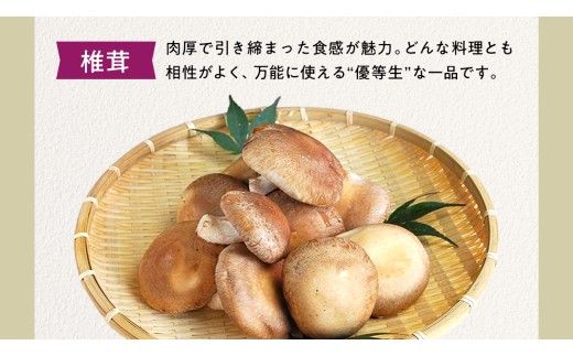 【 3ヶ月連続定期便 】きのこ の 詰め合わせ Sサイズ ( 約1kg ) （茨城県共通返礼品：城里町） キノコ セット 野菜 低カロリー ダイエット デトックス バラエティ セット 新鮮 [DY005us]