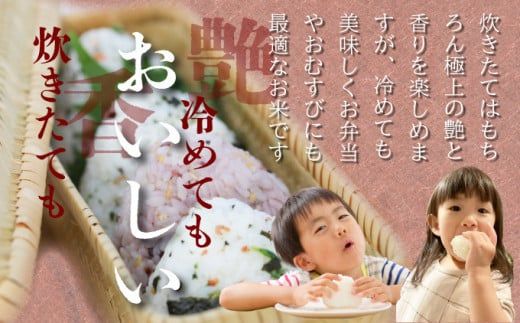 《選べる容量》特選米100%!令和7年産さがびより(精白米) 10kg