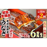 【0254309b】＜定期便・全2回＞【緊急支援品】＜訳あり＞鰻の蒲焼き(無頭)(3尾以上×2回・計約960g・タレ、山椒付) うなぎ ウナギ 鰻 国産 蒲焼 蒲焼き たれ 鹿児島 ふるさと 人気 支援 【アクアおおすみ】