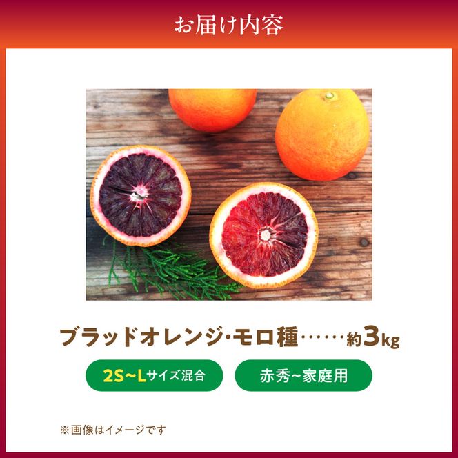 【2027年先行予約】庄助農園のブラッドオレンジ・モロ約3kg(サイズ混合・厳選採果)_BK6021