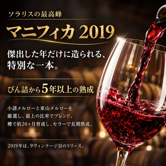 ワイン 信州ワイン 赤 千曲川 マスカット・ベーリーA 750ml 1本 赤ワイン マンズワイン 酒 お酒 洋酒 果実酒 ぶどう酒 長野 長野県小諸市