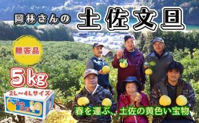 香る！さっぱり！岡林さんの土佐文旦　贈答用5kg