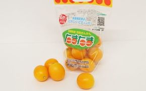 ＜宮崎県産【2025年 数量限定】大粒  完熟キンカン たまたま 250g 小袋10袋入り＞2025年1月中旬～2月下旬迄に順次出荷【c1396_hi】 金柑 きんかん フルーツ 柑橘 果物 くだもの 数量限定 小袋 セット