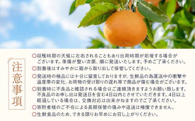 有田みかん しにせの味 約5kg 2S～2Lのいずれか 秀品または優品 K003
