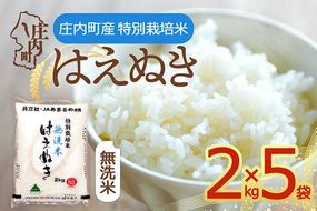 【令和8年産】特別栽培米 はえぬき 無洗米 10kg 2kg×5袋 庄内町産 余目産 余目町農協 あまるめ ブランド米 米 国産 単一原料米 山形 庄内平野
