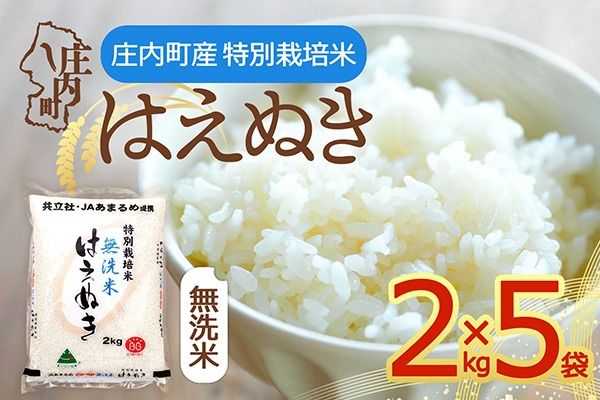 【令和8年産】特別栽培米 はえぬき 無洗米 10kg 2kg×5袋 庄内町産 余目産 余目町農協 あまるめ ブランド米 米 国産 単一原料米 山形 庄内平野