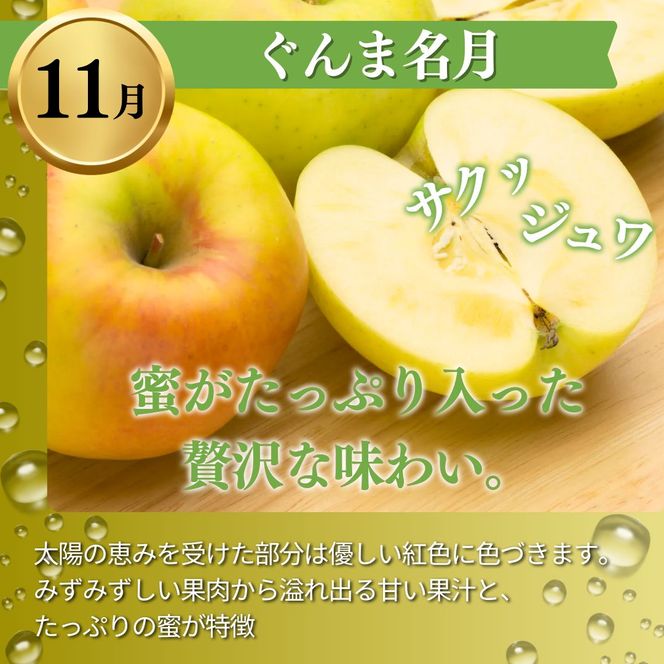 【2026年発送】定期便 3ヶ月 志賀高原季節のりんご定期便3回コース りんご シナノスイート ぐんま名月 サンふじ リンゴ フルーツ 果物 デザート おやつ 長野県 長野 定期 お楽しみ 3回