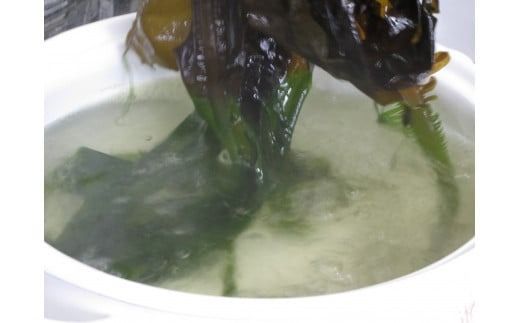 生わかめ 2kg（1kg×2パック）【3月末～4月発送】【06】