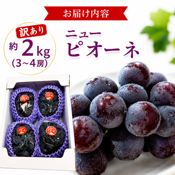 訳あり ぶどう ニューピオーネ 約2kg 3～4房 高梁市産 2027年 先行予約 化粧箱 葡萄 ブドウ ご家庭用 うめづぶどう園