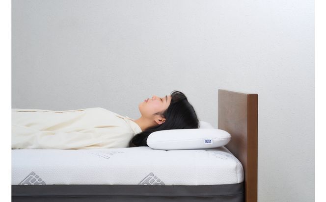 エアウィーヴ　ピロースリムmini 232238_T259