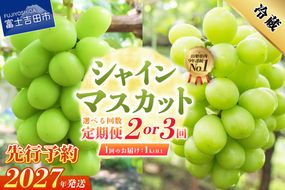 【2027年発送 先行予約】 【定期便】 ジューシーで甘さ抜群 厳選シャインマスカット1kg以上【選べるお届け回数 2回 3回】 シャイン マスカット ぶどう 果物 フルーツ 旬 山梨県 2027年発送 山梨 富士吉田