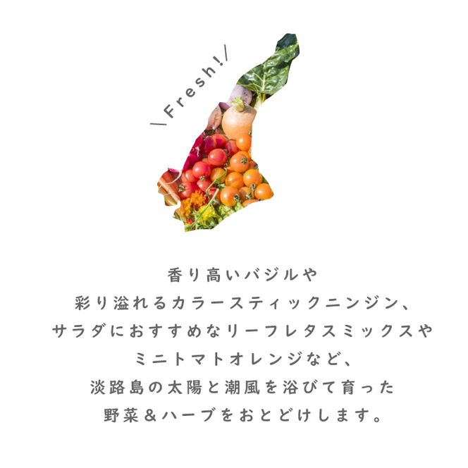 フレッシュグループ淡路島彩り野菜と香るハーブセット　野菜