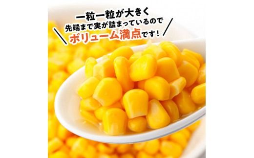 ※内容量が選べる※【令和9年産】スイートコーン「ゴールドラッシュ」 【 新鮮 農家直送 トウモロコシ 産地直送 季節限定 期間限定 宮崎県産 九州産 】 [B09101 B09102 B09103 B09104 B09105 B09106 B09107 B09108 B09109]