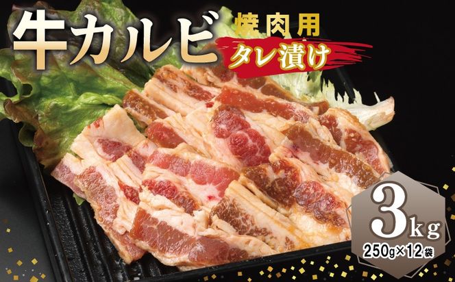 y{򍲖szG3395 Jr ēp ^Ђ v3kgyt  Ă ȒP BBQ  250g×12܁z