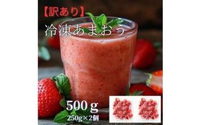 福岡県産 冷凍あまおう500g(250g×2個)【木村食品】_HA1739
