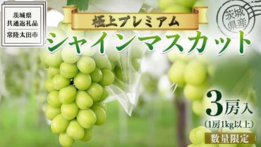 茨城県産 極上プレミアム シャインマスカット 1房1kg以上 数量限定 3房入り ( 茨城県共通返礼品 : 常陸太田市 ) 【 2024年 9月中旬頃より発送 】シャインマスカット フルーツ ぶどう 葡萄 ブドウ マスカット 果物 期間限定 数量限定 [EN017us]