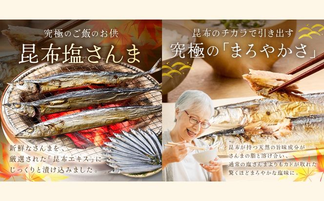 【A2-170】昆布塩さんま(12尾)