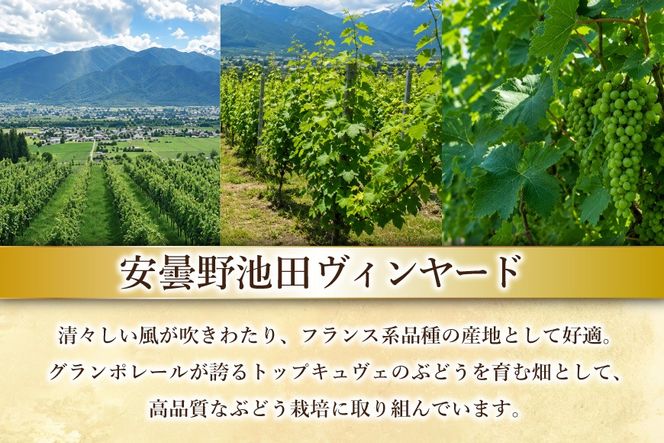 ワイン セット サッポログランポレール 安曇野池田ヴィンヤードワイン 赤白2種セット 750ml 計2本 [ナチュラルマルシェ ソヨソヨ 長野県 池田町 48110929] 酒 お酒 アルコール 赤 赤ワイン 白 白ワイン 国産 あるこーる ぶどう 特別 フルボディ 辛口 料理 セット