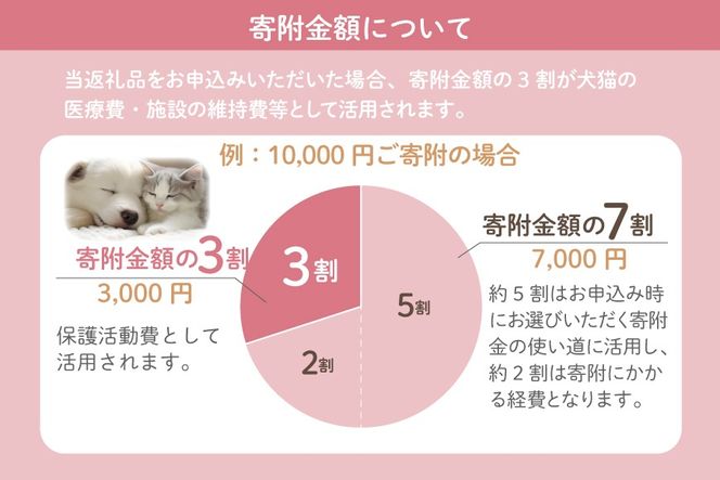 保護猫 支援 猫保護活動への支援 ポストカード [地域ねこサポート会ちくしの 福岡県 筑紫野市 21761293] 保護 動物 猫 応援 ネコ ねこ ペット動物愛護 愛護 保護活動 クリポス メール便 メール便対応