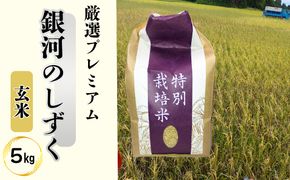 ＜令和8年産予約受付＞銀河のしずく厳選プレミアム 玄米5kg 【2232】