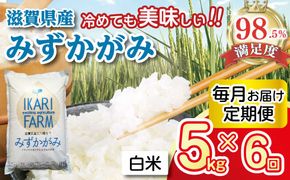 【7年産】みずかがみ　白米定期便　6か月で5kgを6回お届け（1か月に1回）【C036W1】