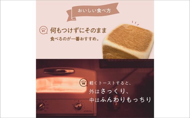 しっとりもちもち　ホテルが作る「生」食パン「龍食パン」１斤サイズ×2個　ふんわり もちもち ふるさと納税 生食パン 限定 京都 パン　SH00009