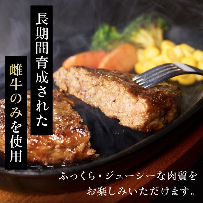 【小野牧場】黒毛和牛 ハンバーグ 北海道産 150g × 6個 牛肉 北海道 国産 赤身肉 冷凍 お弁当 詰め合わせ 自宅用 ギフト 贈り物 お取り寄せ 送料無料 十勝 士幌町 【O02】