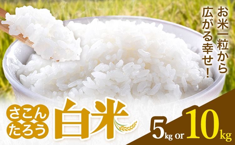 白米 5kg 10kg さこんたろう[90日以内に発送予定(土日祝除く)]熊本県 御船町 コメ おこめ 白米 ごはん 熊本県産---mifune_skt_1_5kg---
