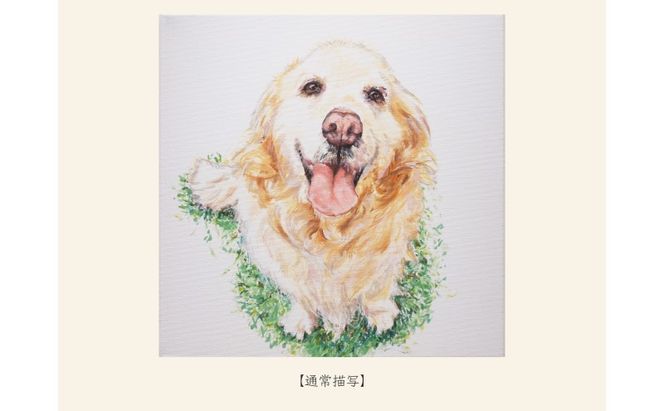 油絵で大切なペットを細密に描きます（53×46cm・背景無地）
