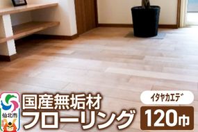 国産 無垢 フローリング 120巾 素材：板谷楓（イタヤカエデ）|02_ttt-010201