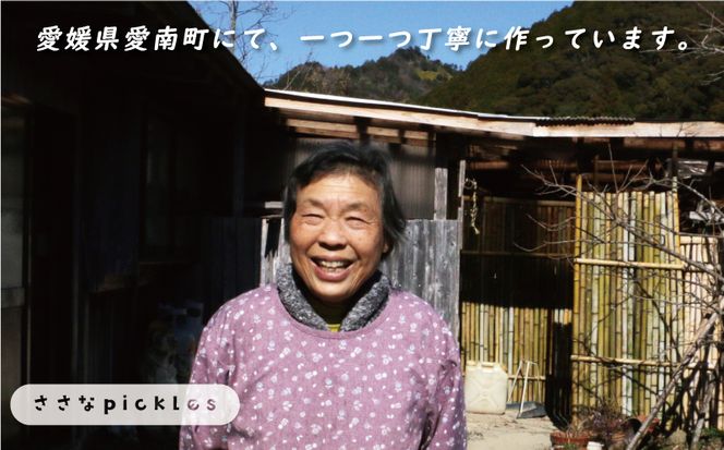 新米 令和6年産 定期便 10kg × 3回 コシヒカリ 合計 30kg お米 白米 こしひかり 米 こめ 精米 産地直送 国産 農家直送 期間限定 数量限定 特産品 令和6年度産 2024年産 大粒 もっちり 粘り 甘み おいしい おにぎり 人気 内祝い お祝い 贈答品 お返し プレゼント 土産 御礼 お礼 お取り寄せ 愛南町 愛媛県 ささなピクルス