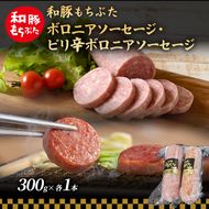 和豚 もちぶた ボロニア ピリ辛ボロニアソーセージセット 各1本 和豚 もち豚 豚肉 ポーク お肉 ピリ辛 肉 豚 ぶた ブタ 加工肉 アウトドア