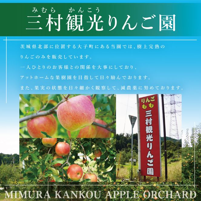 【数量限定】【三村観光りんご園】【10月より順次発送予定】樹上完熟！奥久慈りんご＆贅沢ジュース（品種おまかせ約2kg＆720ml×1本）｜茨城県 大子町 林檎 旬 果物 フルーツ 果実 果汁 飲料 セット 詰合せ ギフト 贈答(BX008)