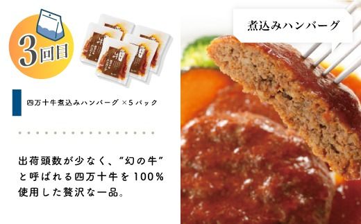 【 3回 お届け 】 便利 でうれしい！ 小分け 定期便 毎月届く 小分けパック ストック 保存食 冷凍 冷凍食品 惣菜 おかず パン 冷凍パン 食パン うなぎ 鰻 ハンバーグ お弁当 弁当 ごちそう 贅沢 高知 四万十市 四万十 しまんと 25-0020