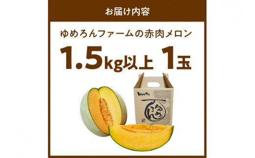 【数量限定100】ゆめろんファームの赤肉メロン（2026年6月上旬～発送） 国産 高級メロン 贈答 贈答品 贈り物 ふるさと 納税 メロン 赤肉 1玉 ふるさと納税 期間限定 ふるさと 納税 フルーツ くだもの 果物　DE00154