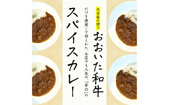 【K03037】おおいた和牛 スパイスカレー 2袋