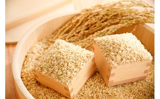 【新米　先行予約】令和8年産　冷めても美味しいあっさりとした味わい「みずかがみ」玄米【30kg×1袋】【C080W】
